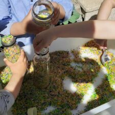 PE Lapa5